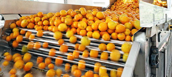 Engery Saving Orange Juice Production Industrial Orange Juice Machine ISO CE